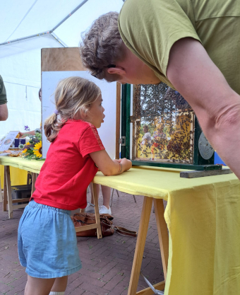Kijken bij de demonstratie bijenkast in de  informatiekraam van de imkervereniging op de markt van Melk en Honing 2026